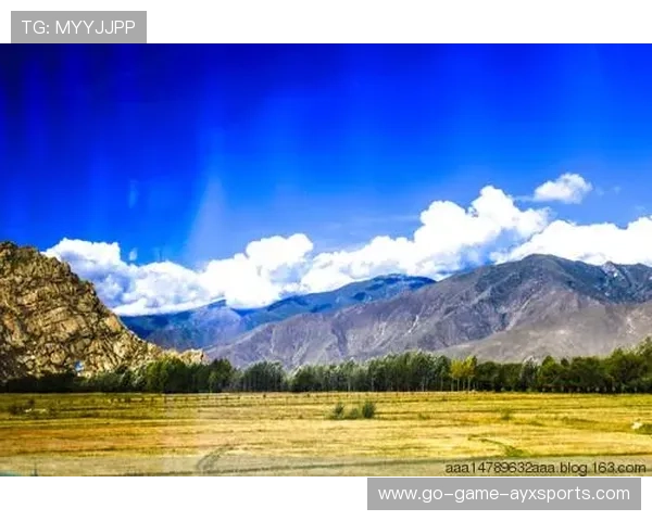 河床未来核心逐渐显现