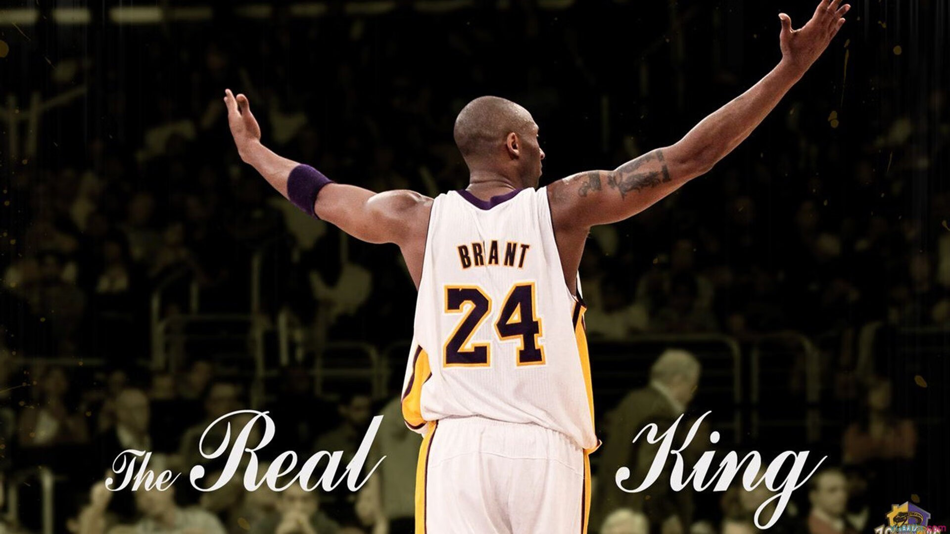 体育界最大转会消息